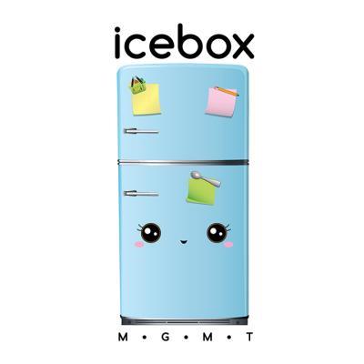 Icebox Management  Logo Design